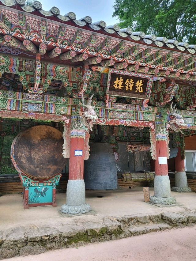 비오는날 수국을 볼수있는 남해 사찰
