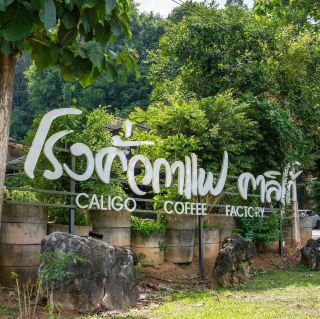 โรงคั่วกาแฟเขาสก ☕️⛰️