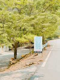 물놀이 즐기기 좋은 국내 여행지 추천🌳