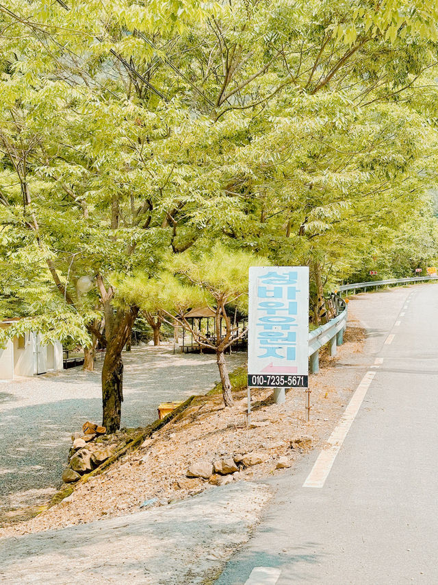 물놀이 즐기기 좋은 국내 여행지 추천🌳