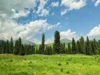 Mengteke Ancient Road: Discovering Nature's Splendor