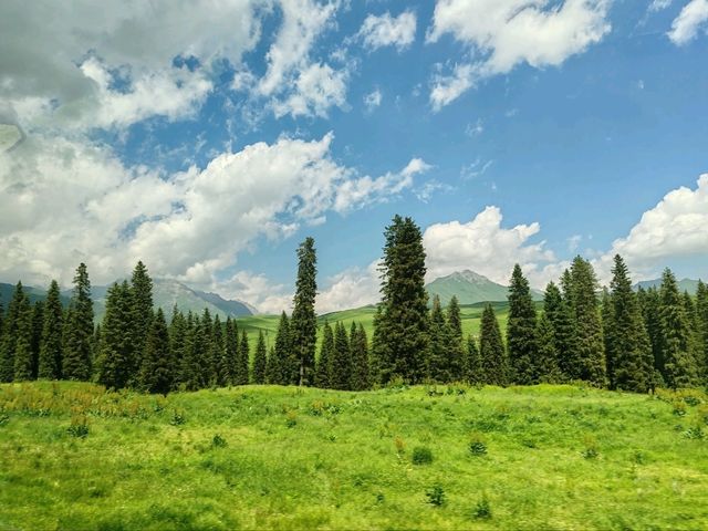Mengteke Ancient Road: Discovering Nature's Splendor