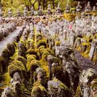 Adashino Nenbutsuji: Kyoto’s Most Hauntingly Beautiful Temple – A Solo Traveler’s Pilgrimage"** 🕯️🌿
