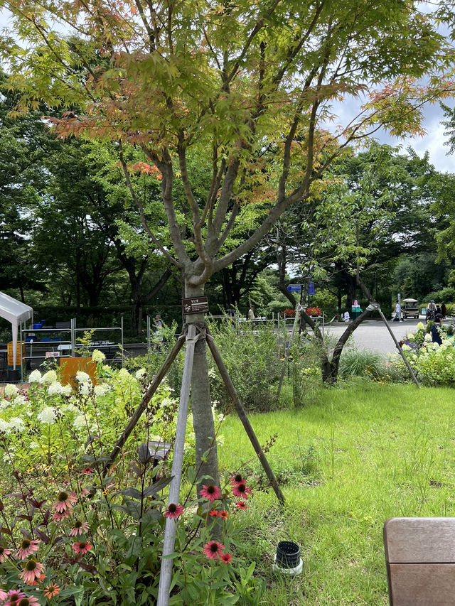 깨비정원
