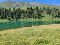 Fairy Lake: An Emerald in the Mountains Where Time Stands Still