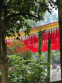 Lingyin Temple 🧘‍♂️