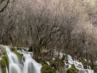 Earthquake’s Epilogue: The Phantom Forests Of Jiuzhaigou’s Most Unstable Waters 