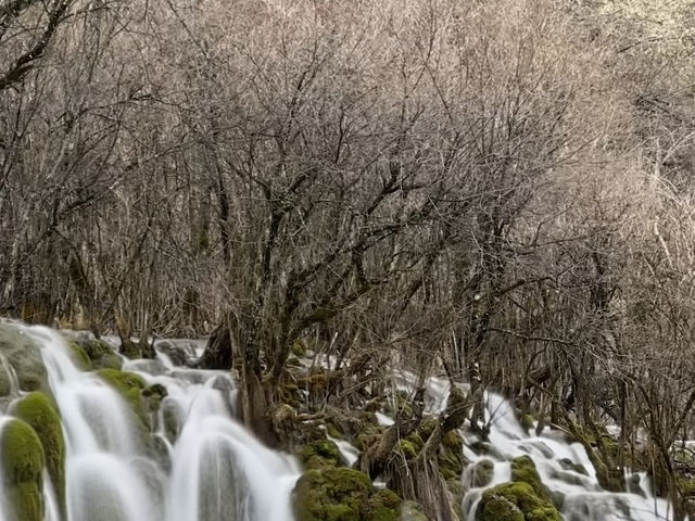 Earthquake’s Epilogue: The Phantom Forests Of Jiuzhaigou’s Most Unstable Waters 