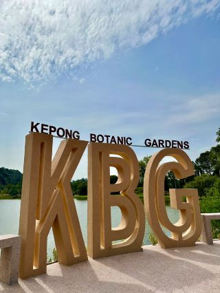  🎍 Bamboo Trails & Carnivorous Plants in KL? Yes, Please!