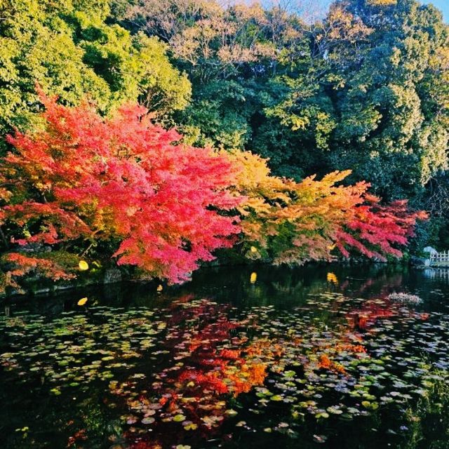 나고야, 숨은 매력을 가진 일본 중부 여행기