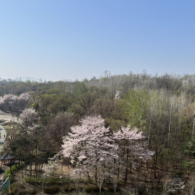 서울 둘레길의 봄과 여름 풍경