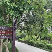 🏮 锦里古街 | Jinli Ancient Street, Chengdu