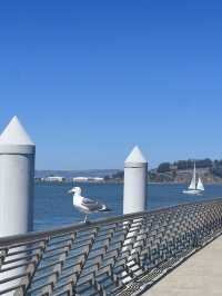 🏛️ Ferry Building + Bay Bridge – เดินช้าๆ ริมอ่าว