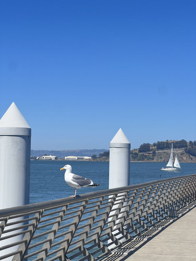 🏛️ Ferry Building + Bay Bridge – เดินช้าๆ ริมอ่าว