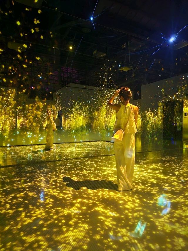 光と風が織りなす空間美。五感で感じる済州の“永遠の自然”🌿🎶