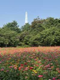 동화 속 정원에 들어온듯 아름다운 서울 명소, 올림픽공원 산책로