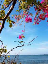 Itinerary for a meaningful 1-day trip to Vung Tau for you
