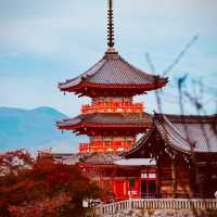 【京都と言えば！】清水寺✨