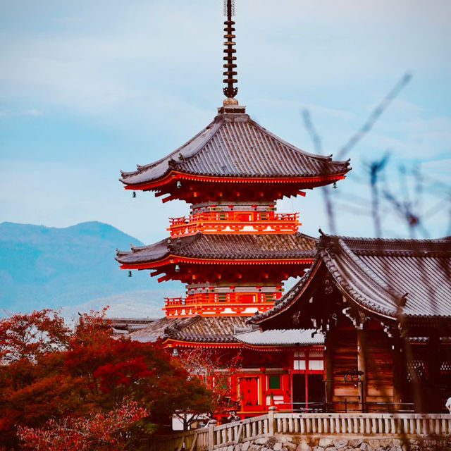 【京都と言えば！】清水寺✨