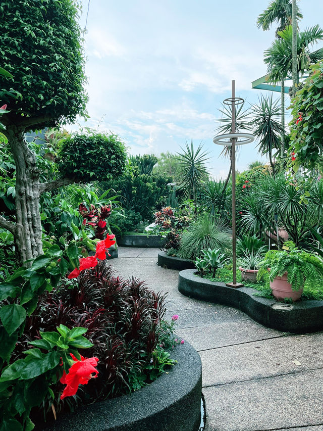 Lush Rooftop Oasis in PJ