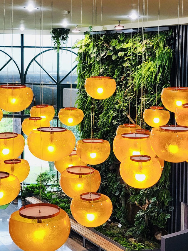 A Sweet & Informative Dive into Jeju's Citrus Culture at a Great Price