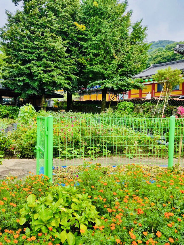 Spiritual Gateway to Hallasan