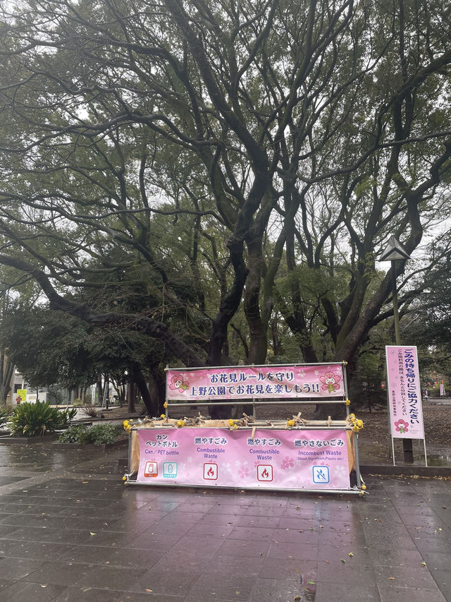🇯🇵 Ueno Park