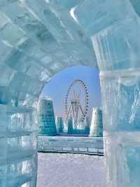 Where Ice Glows and Cultures Meet: Discover Harbin