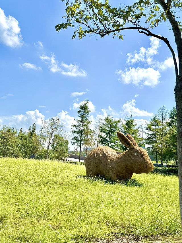 Jiabei Country Park Travel Guide｜A Floral & Countryside Escape Near Shanghai