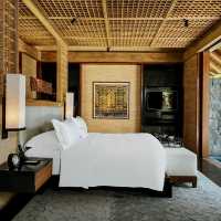 Sacred Stillness in the Rainforest