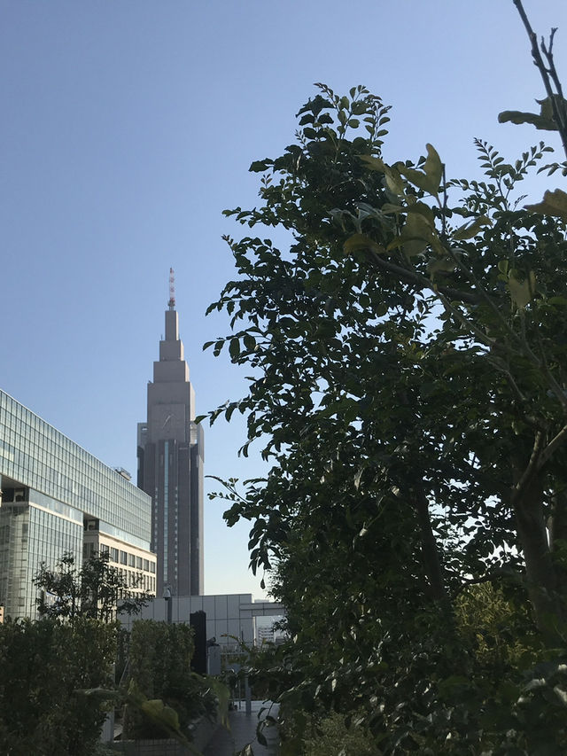 【東京福袋:日本橋から新宿まで 1日で楽しむ多彩な体験】 【東京福袋:日本橋から新宿まで 1日で楽しむ多彩な体験】