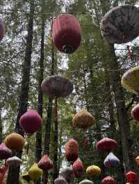 Chengdu People’s Park – Secret Spot! 💎😱