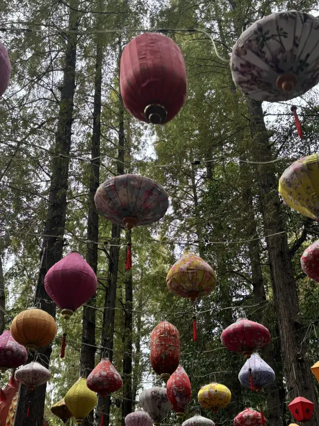 Chengdu People’s Park – Secret Spot! 💎😱