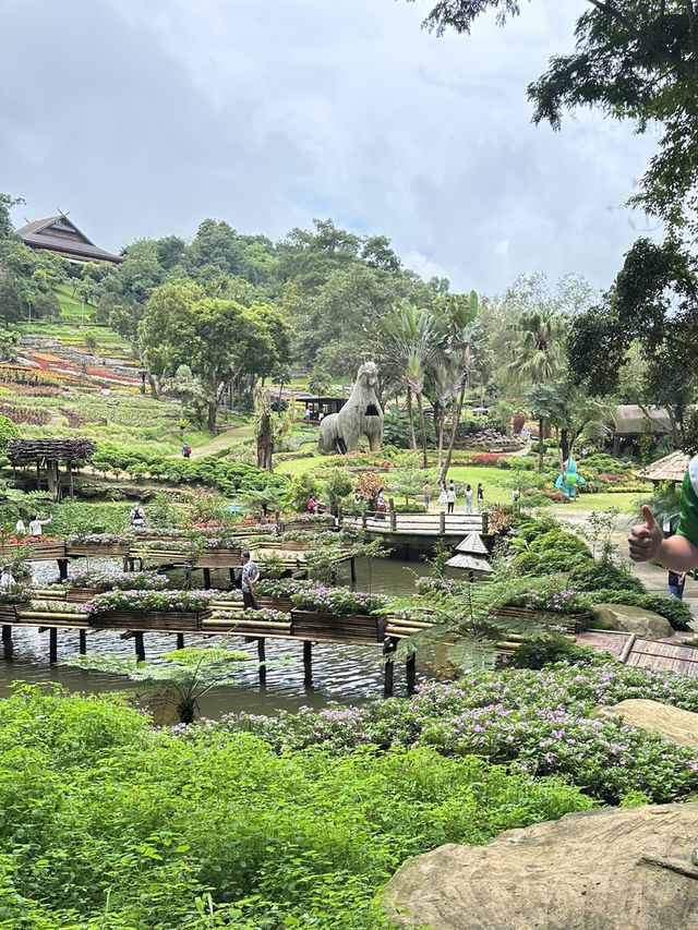 🌸🏞️ ดอยตุง เชียงราย – ธรรมชาติ งดงาม และอบอุ่นใจ