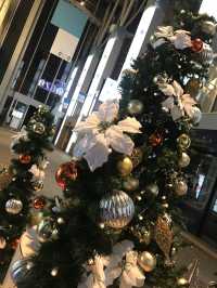 🌲2020年 東京丸の内クリスマスツリー と2025年に乞うご期待❣️