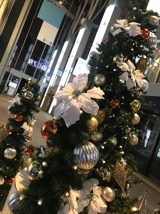 🌲2020年 東京丸の内クリスマスツリー と2025年に乞うご期待❣️
