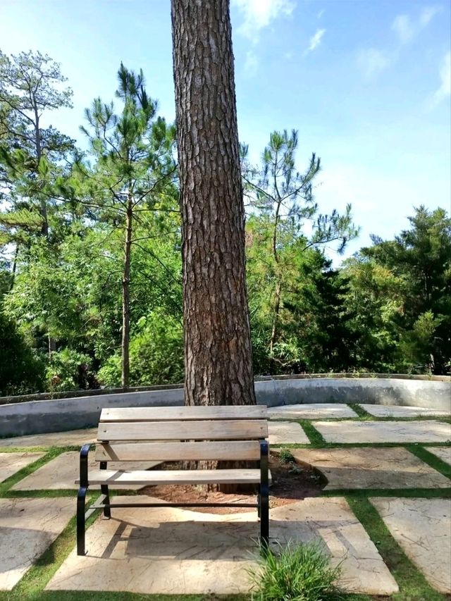 A Green Escape at Botanical Garden Baguio