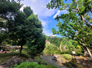 Bukit Batok Town Park: Connect with Nature