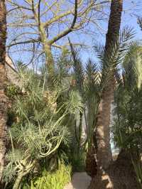 The Oasis in the Heart of the Medina: Le Jardin Secret