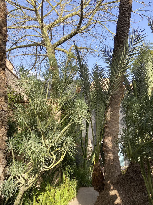 The Oasis in the Heart of the Medina: Le Jardin Secret