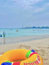 🌊 제주 해변 비교 후기 🌅 협재 vs 애월 vs 이호테우