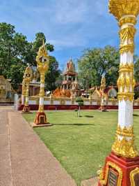🌺ชวนเที่ยว วัดพระธาตุหนองบัว