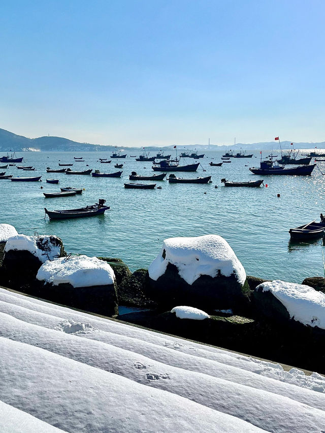 ❄️ Weihai in Winter Guide 🩵🌊✨