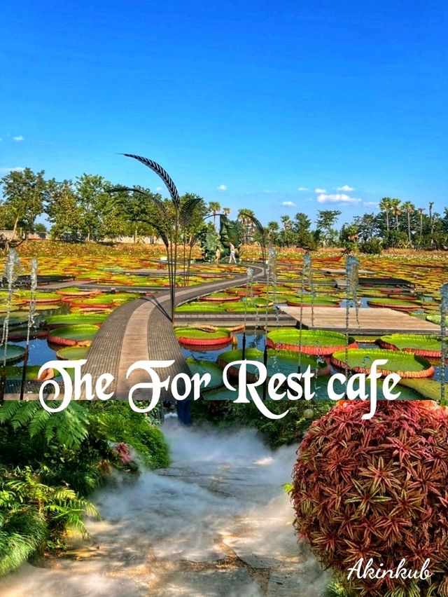 ชวนเที่ยวคาเฟ่บรรยากาศดี