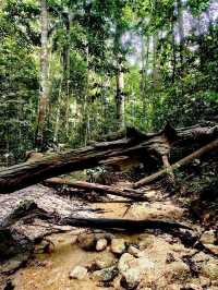 「柔佛隱藏版打卡山丘。」