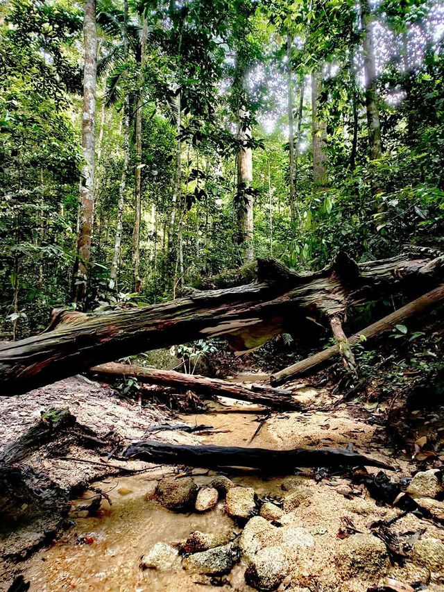 「柔佛隱藏版打卡山丘。」 「柔佛隱藏版打卡山丘。」