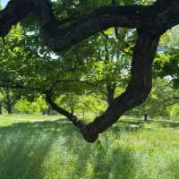 Eichenhain Stuttgart – A Woodland Nature Reserve