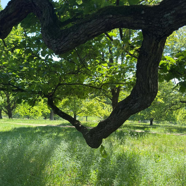 Eichenhain Stuttgart – A Woodland Nature Reserve