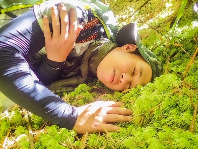Mossy Forest──雲霧間的夢幻秘境