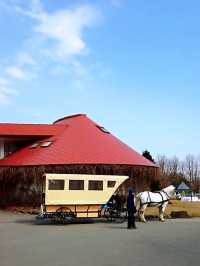 北海道馬主題公園親子半日遊推介 🐴